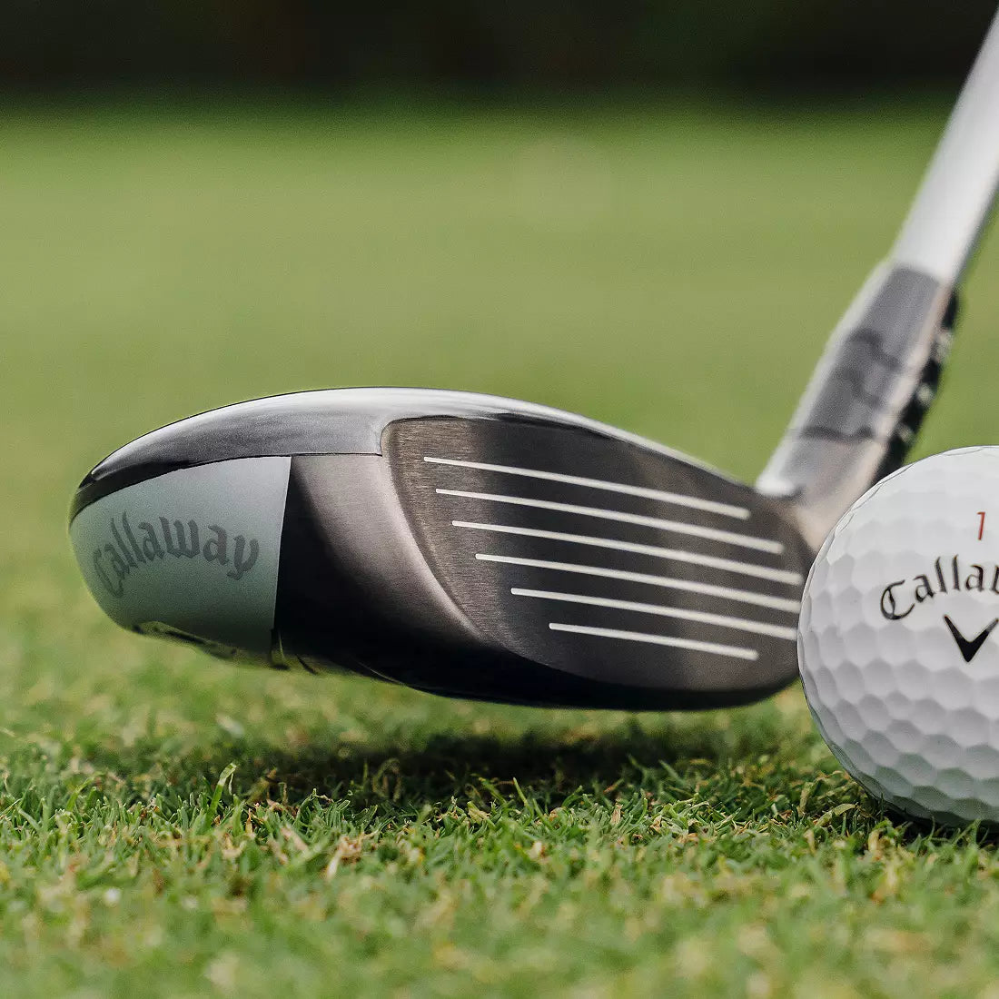 Callaway Quantum Max OS Hybrid